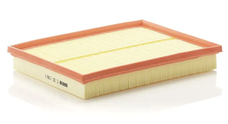 MANN C30138/1 Hava Filtresi resmi