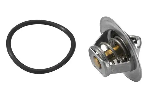 WAHLER 3167.83D Termostat 032121110F resmi