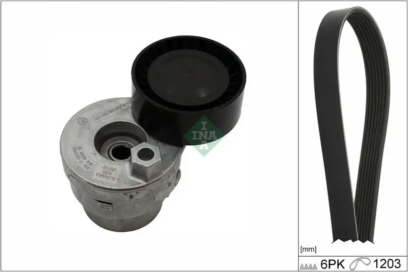 INA 529000910 Kayış Seti resmi