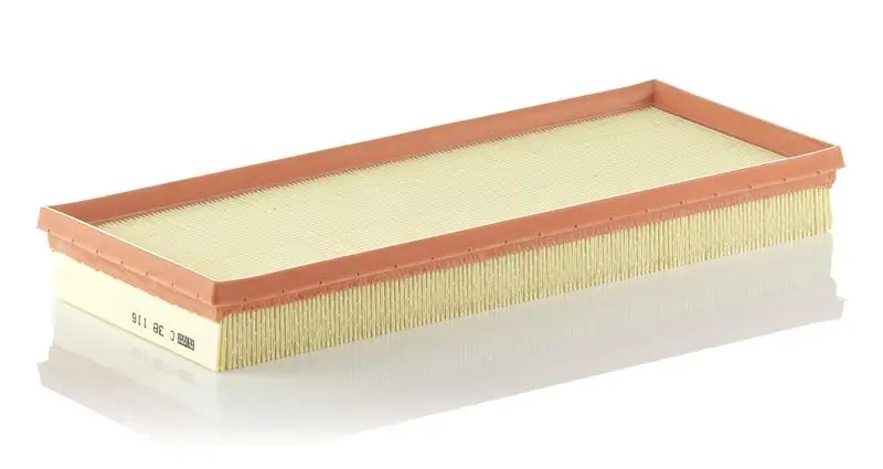 MANN C38116 Hava Filtresi C2S11215 resmi