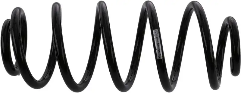 SACHS 994841 Arka Helezon Yayı resmi