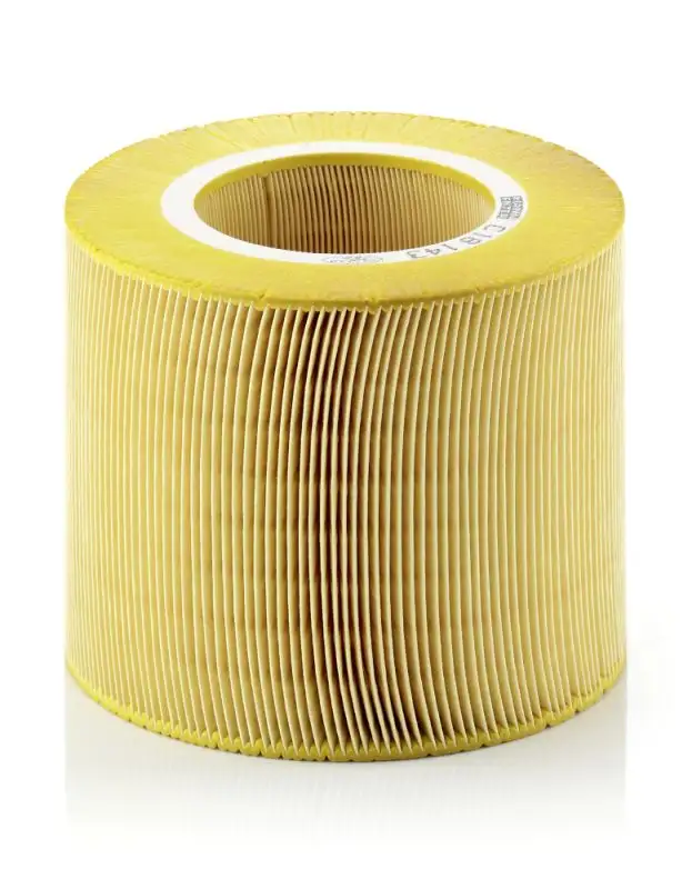 MANN C18143 Hava Filtresi 5173166 resmi