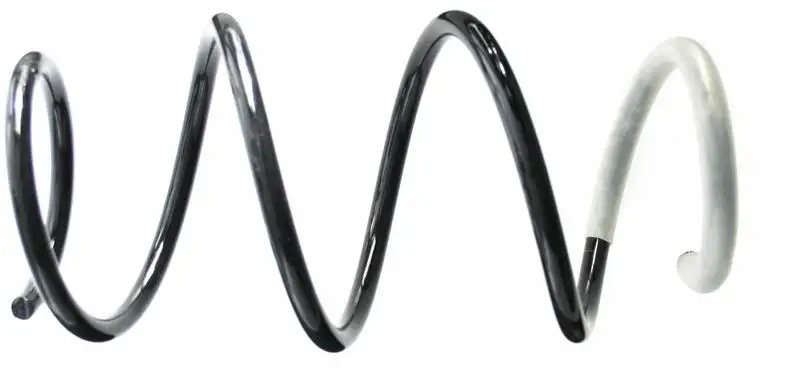 SACHS 993456 Ön Helezon Yayı 540100658R resmi