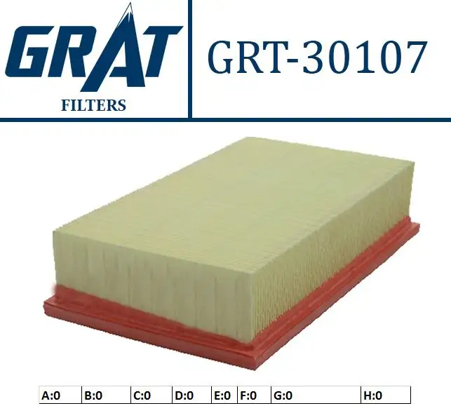 GRAT 30107 Hava Filtresi 13721247 resmi