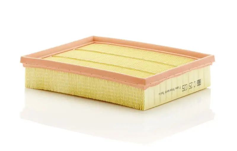 MANN C25035 Hava Filtresi DS739601BA resmi