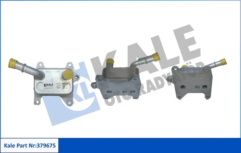 KALE 379675 Motor Yağ Soğutucu 213053566R resmi