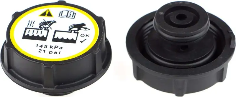 RAPRO R66125 Yedek Su Depo Kapağı resmi