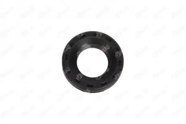 İBRAŞ 19698 Enjektör Tamir Takımı resmi