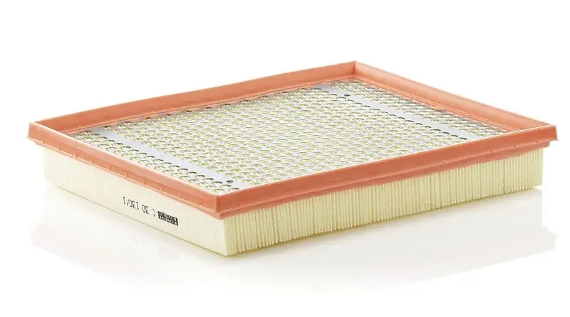 MANN C30130/1 Hava Filtresi resmi