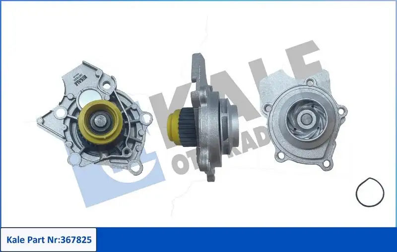 KALE 367825 Devirdaim resmi