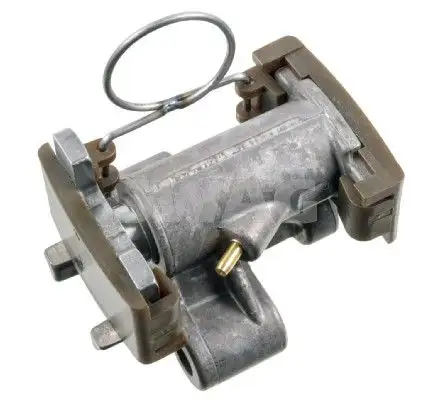 SWAG 20100013 Eksantrik Zincir Gergisi 11311742174 resmi