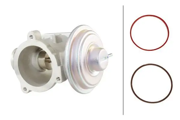 HELLA 6NU010171-701 EGR Valfi 11717804382 resmi