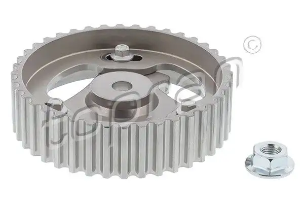 TOPRAN 701987001 Eksantrik Vanoşu (Emme) resmi