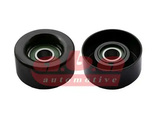 ABA 25172028 Alternatör Gergi Rulmanı 119555X00D resmi