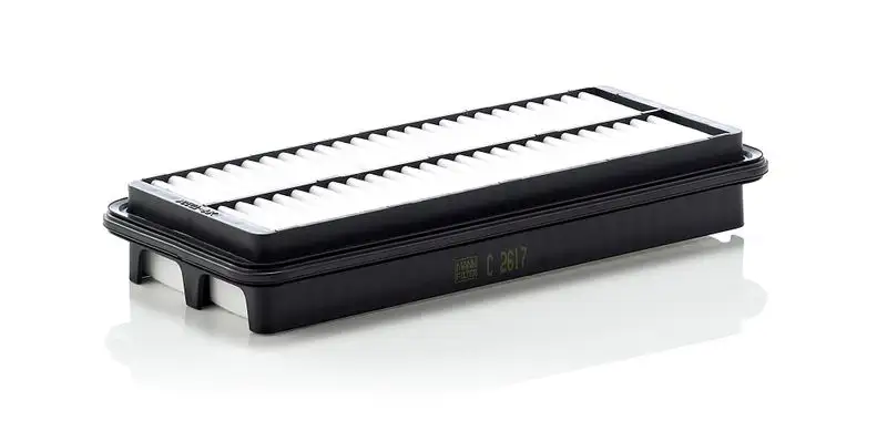 MANN C2617 Hava Filtresi 2811307100 resmi