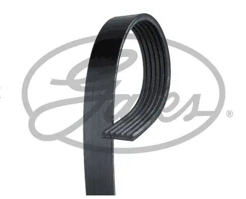 GATES ROADMAX 1070K6 Kayış resmi