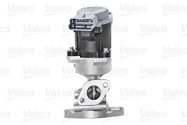 VALEO 700423 EGR Valfi resmi