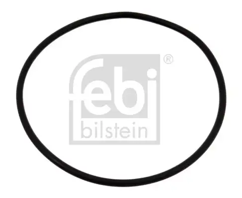 FEBI 04734 Devirdaim Contası resmi