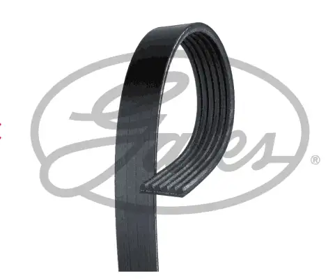 GATES ROADMAX 975K6 Kayış resmi