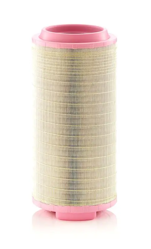 MANN C25024 Hava Filtresi 2343432 resmi