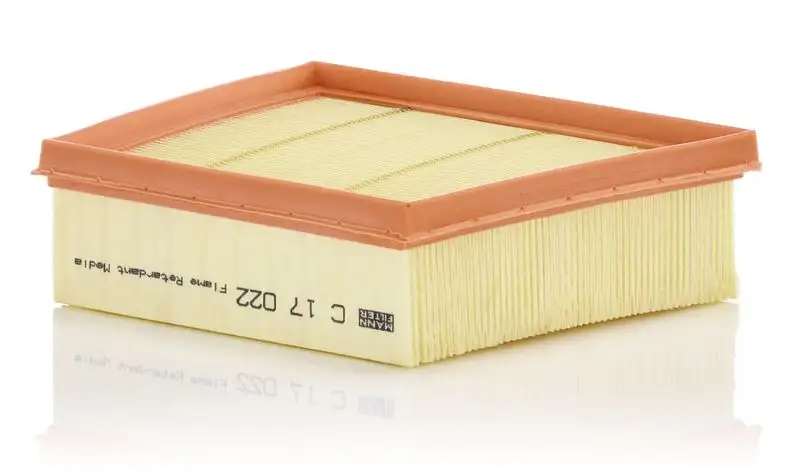 MANN C17022 Hava Filtresi 2184580 resmi