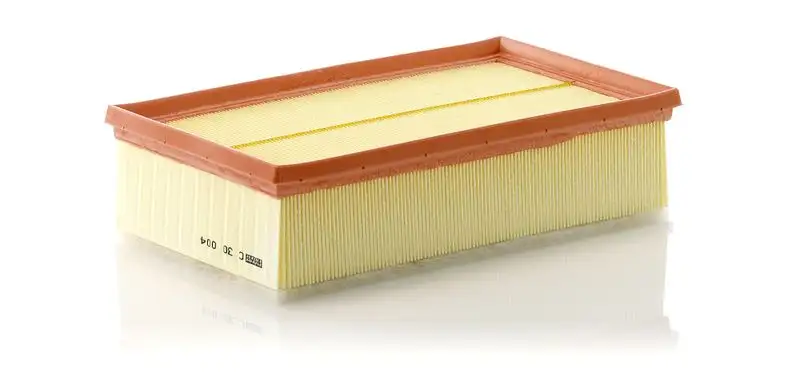 MANN C30004 Hava Filtresi resmi