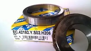 SNR EC42192YS02H206 Şanzıman Rulmanı resmi