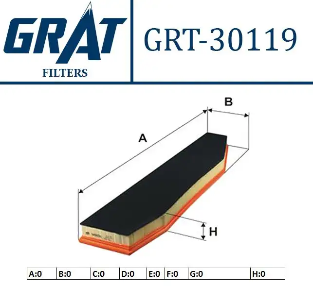 GRAT 30119 Hava Filtresi 13713428558 resmi