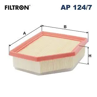 FILTRON AP124/7 Hava Filtresi 165466RA0A resmi