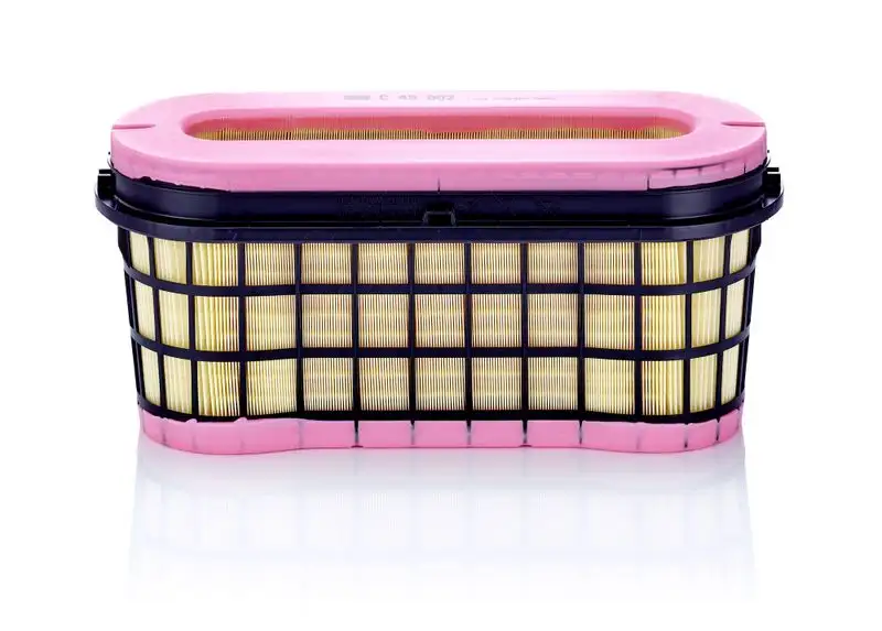 MANN C49002 Hava Filtresi A0040949004 resmi