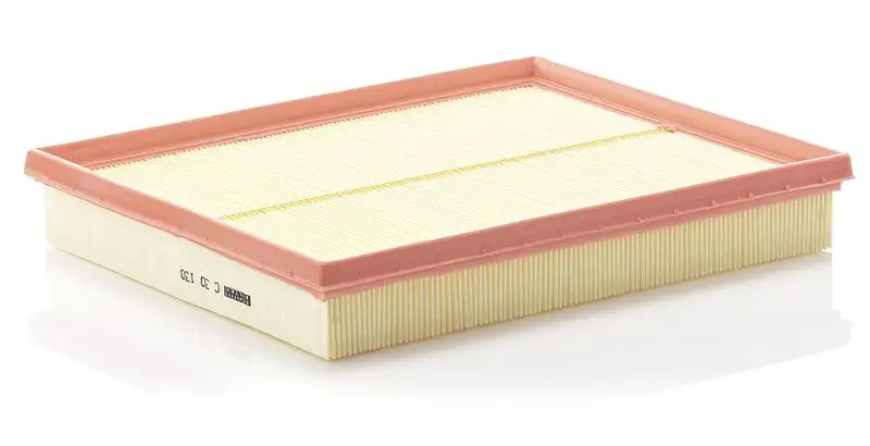 MANN C30130 Hava Filtresi resmi