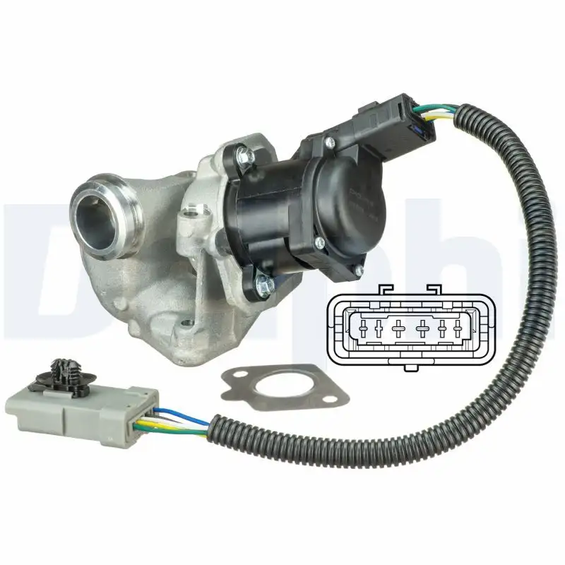 DELPHI EG10435-12B1 EGR Valfi resmi