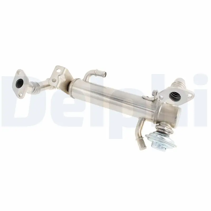 DELPHI EG10582-12B1 EGR Valfi 504178568 resmi