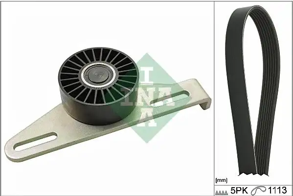 INA 529014510 Kayış Seti resmi