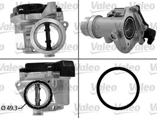 VALEO 700450 Gaz Kelebeği 161A09794R resmi