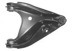 PRS 810244 Alt Salıncak (Sağ) 8200216376 resmi