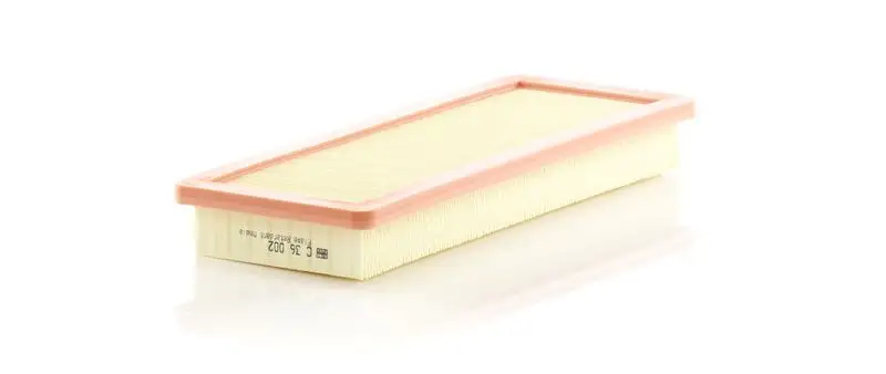 MANN C36002 Hava Filtresi resmi