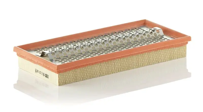 MANN C33102 Hava Filtresi A0030946104 resmi