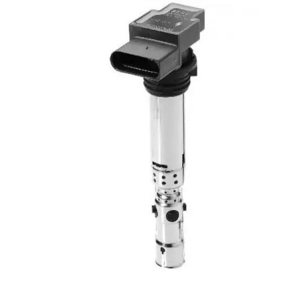 MGA 30129 Bobin 03D905715A resmi