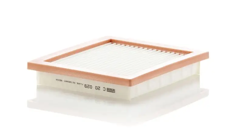 MANN C20029 Hava Filtresi 165463VD0A resmi