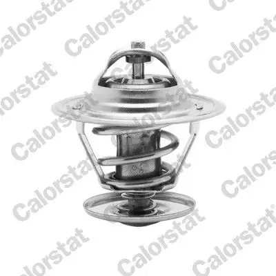 CALORSTAT VERNET TH6273.87J Termostat resmi