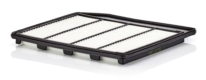 MANN C30080 Hava Filtresi 1378068M00000 resmi