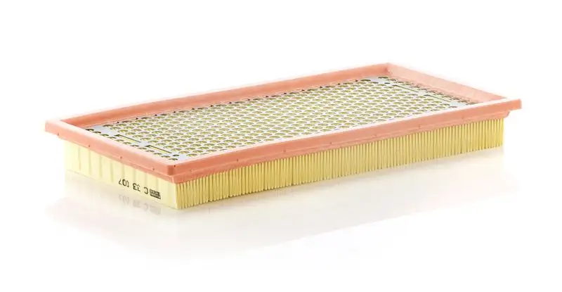 MANN C33007 Hava Filtresi resmi