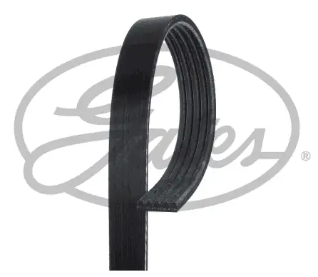 GATES ROADMAX 1545K5 Kayış resmi