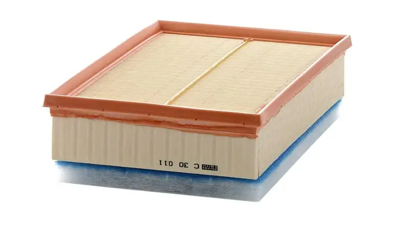 MANN C30011 Hava Filtresi resmi