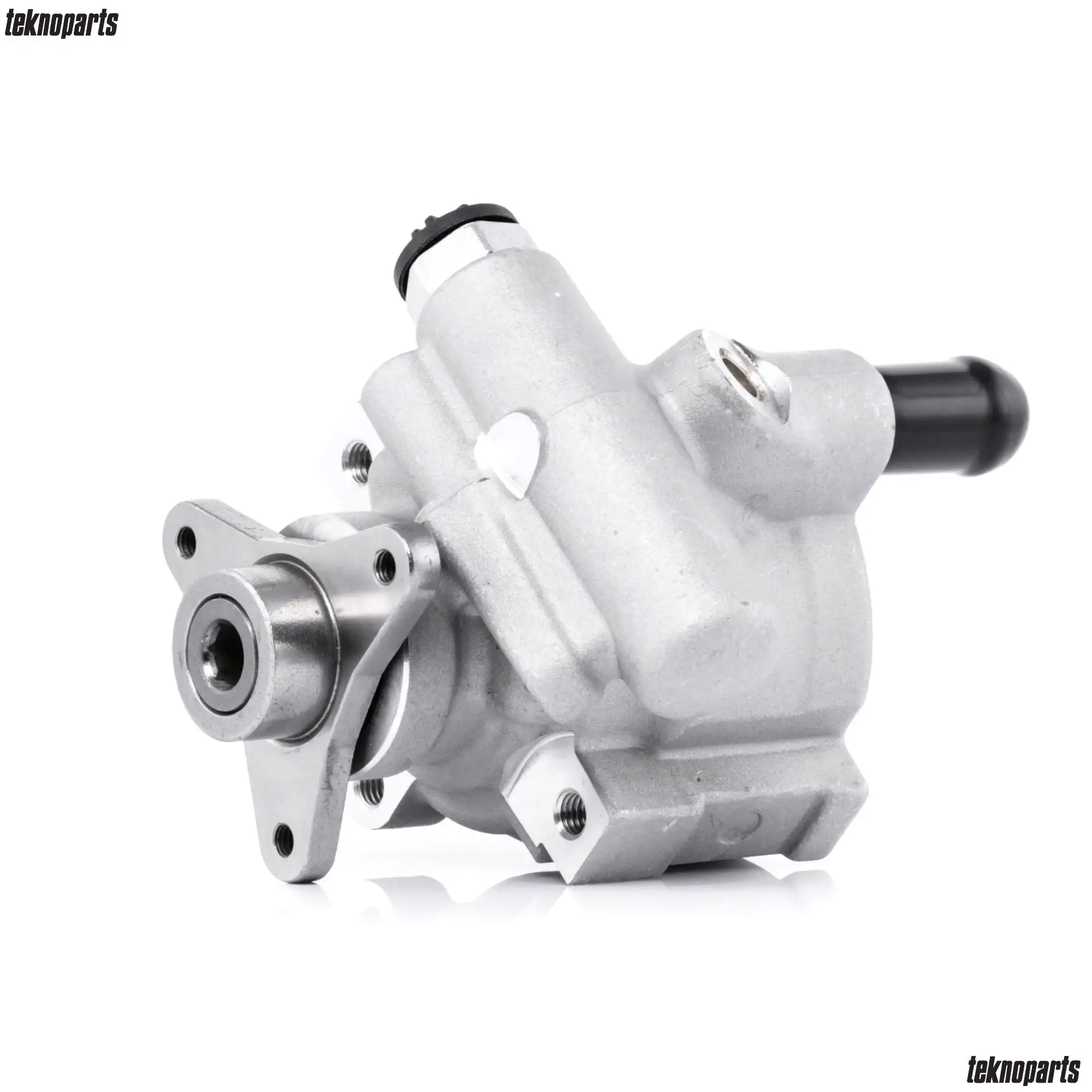 TKN RN-DP-002 Direksiyon Pompası resmi