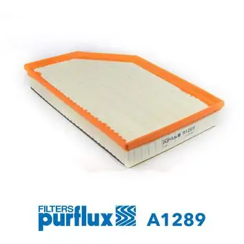 PURFLUX A1289 Hava Filtresi resmi