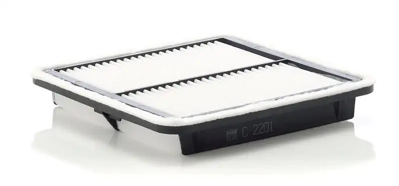 MANN C2201 Hava Filtresi 16546AA120 resmi