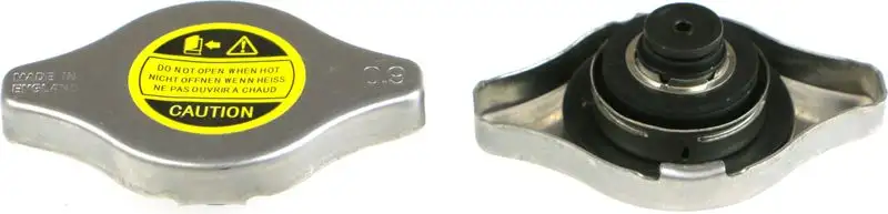 RAPRO R66137 Yedek Su Depo Kapağı resmi