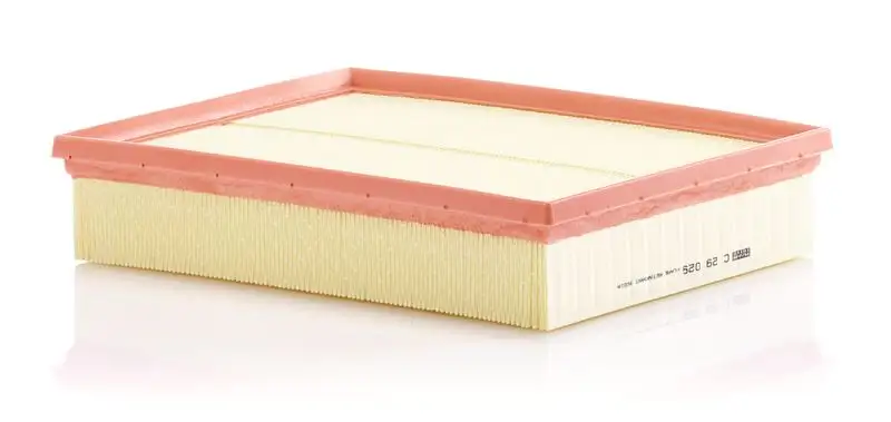 MANN C29029 Hava Filtresi 6C0129620 resmi